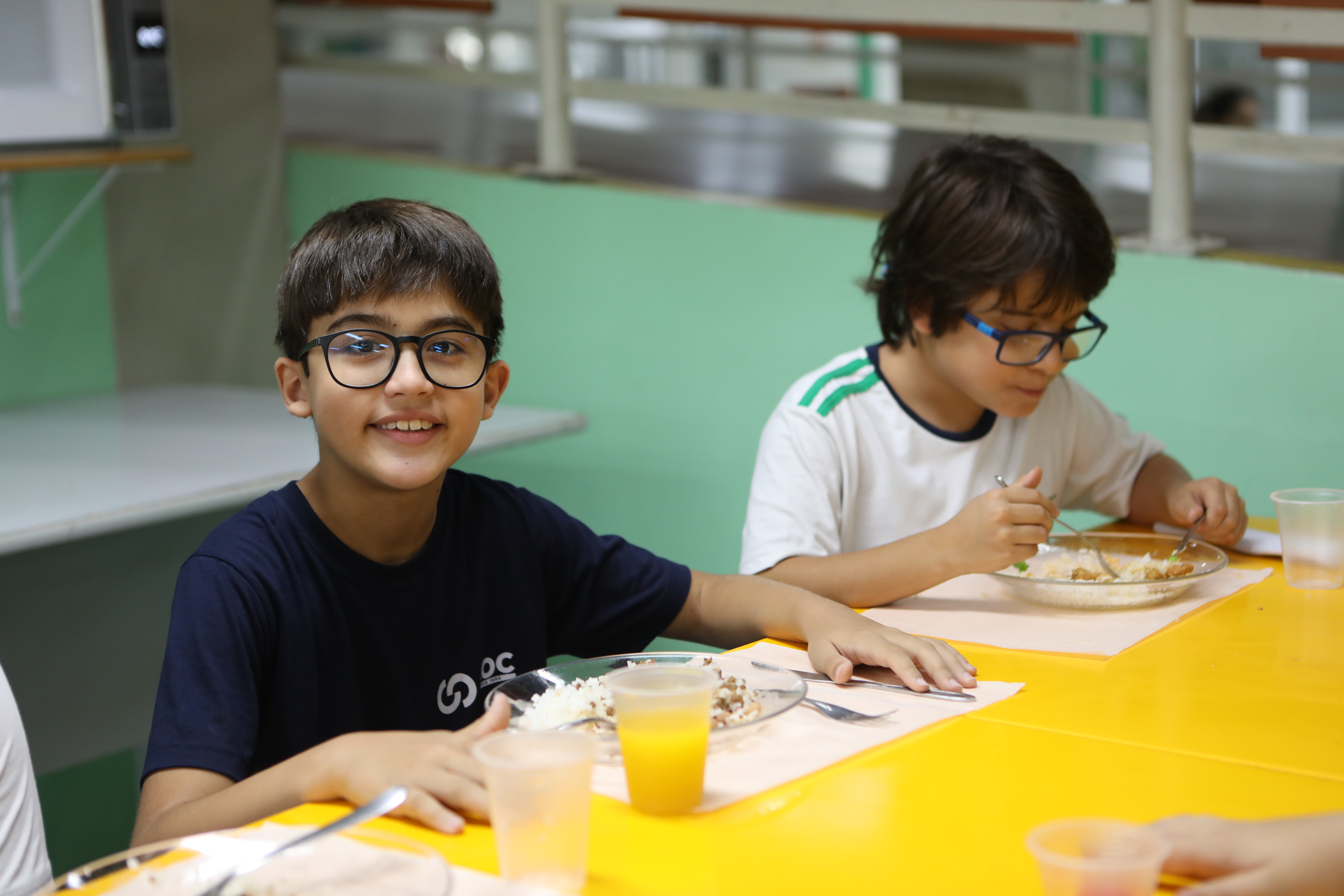 Alimentação